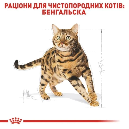 Сухий корм для котів Royal Canin Bengal Adult бенгальської породи 400 г (4370004): Порода Індивідуально для породи