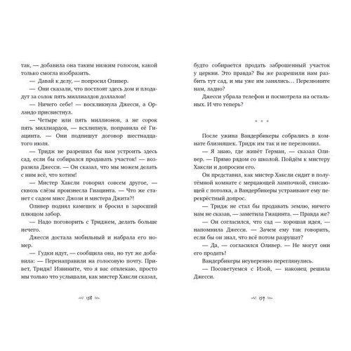 Карина Ян Глейзер: Вандербикеры и таинственный сад: Автор Карина Ян Глейзер