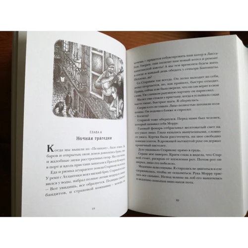 Якоб Вегелиус: Правда о Салли Джонс: Количество страниц 552