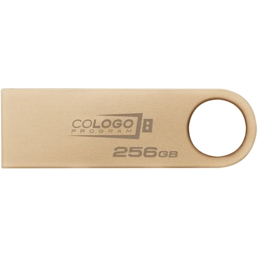 USB-флешка Kingston 256GB DataTraveler SE9 G3 USB 3.2 Gold (DTSE9G3/256GB) фото 10