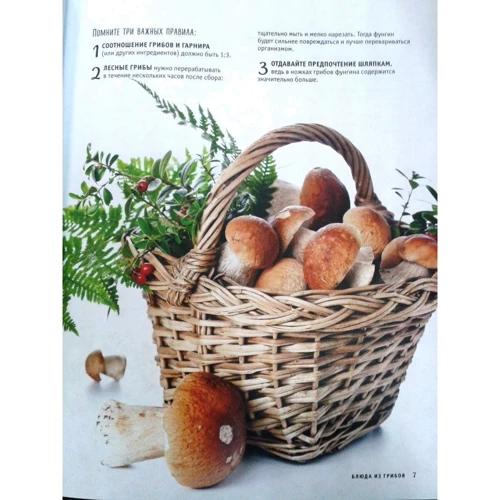 Блюда из грибов: ISBN 978-5-699-89134-4