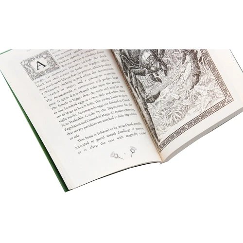 J.K. Rowling: Fantastic Beasts and Where to Find Them: Обкладинка М'яка