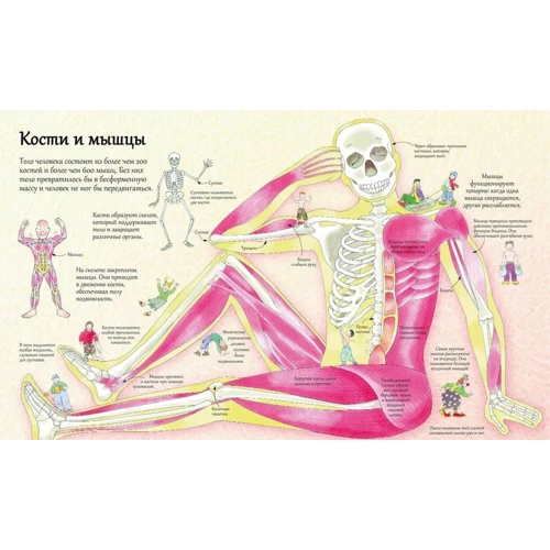 Кэти Дейниз, Коллин Кинг: Открой тайны человека: Автор Коллин Кинг, Кэти Дейниз