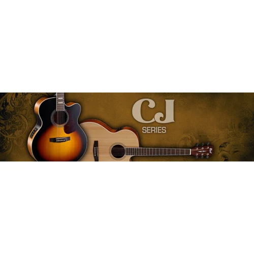 Электроакустическая гитара CORT CJ Retro (Vintage Sunburst Matt): Количество струн 6