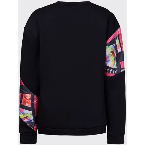 Спортивный свитшот Arena Sweat Panel (003645-510) 50 черный: Вид Спортивные свитшоты