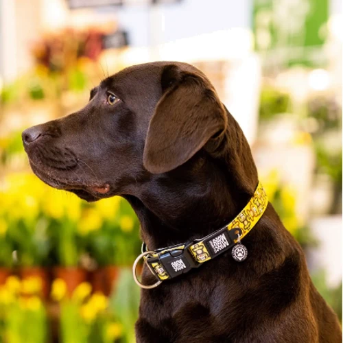 Нашийник для собак Max & Molly Urban Pets Smart ID Collar - Monkey Maniac/XS 22-35 см (4894512050570): Призначення Для всех пород