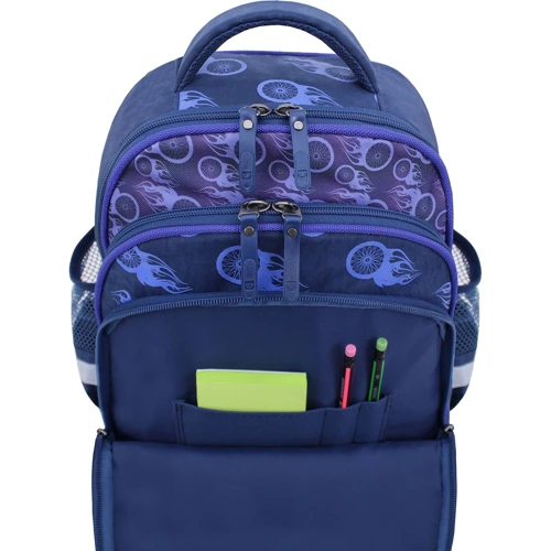 Рюкзак школьный Bagland Mouse 225 синий 507 (0051370): Пол ребенка Для мальчиков
