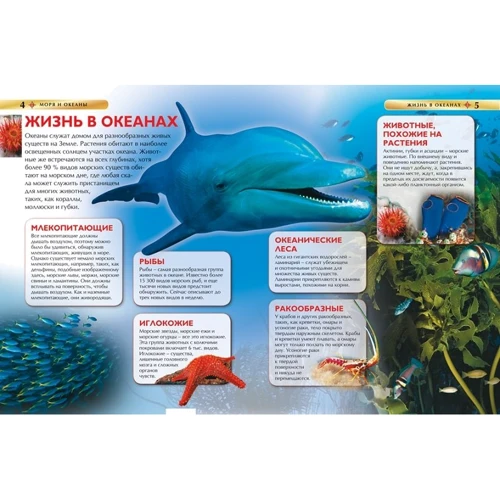 Моря и океаны. Детская энциклопедия: Количество страниц 48