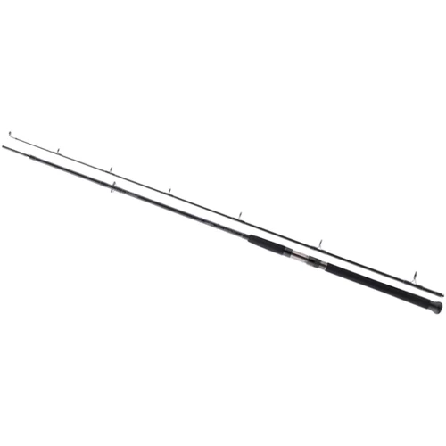 Спининговое удилище Daiwa Exceler Catfish Spin 2.40m -185gr: Тип удилища Спиннинговое