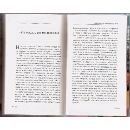 Тибет. Інструкція по застосуванню.: ISBN 978-5-94161-297-0