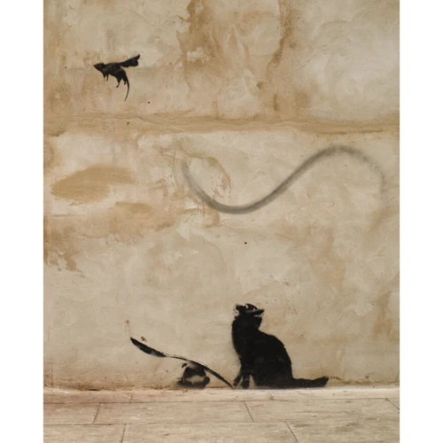 Ґері Шов, Патрік Поттер: Banksy. Ви стаєте загрозою прийнятного рівня (Якби було не так, ви вже про це знали): Обкладинка Твердая