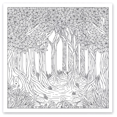 Розмальовка-антистрес Santi Дивовижний ліс 20 аркушів 40 картинок (742912)