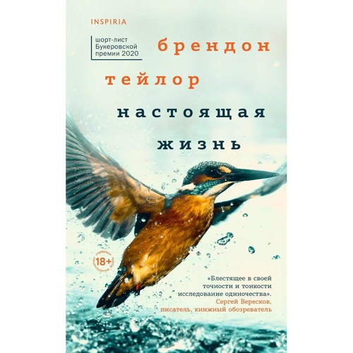 Брендон Тейлор: Настоящая жизнь