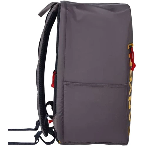 Сумка для ноутбуков Canyon 15.6" Cabin Size Backpack Gray (CNS-CSZ02GY01): Форм-фактор 15.6"