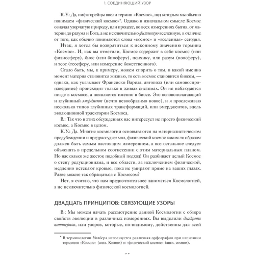 Кен Уилбер: Краткая история всего фото 8