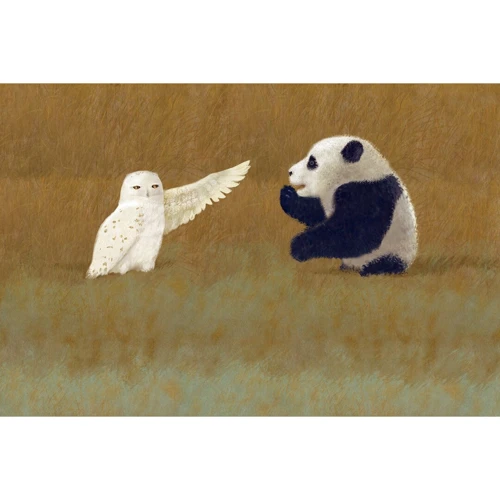 Kristina Nguyen: Tales about Pandimoon: Обложка Твердая