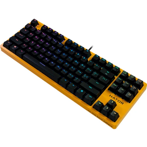 Клавиатура Hator Rockfall EVO TKL Optical ENG/ UKR/ RUS (HTK-632): Интерфейс подключения USB