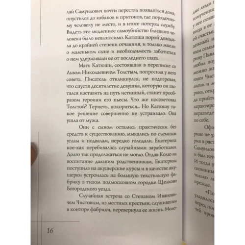 Елена Литвинская: Избранницы. 12 женских портретов на фоне времени: Количество страниц 352