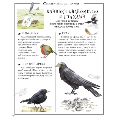 Boys’ Book. Підручник відважного мандрівника: Количество страниц 128