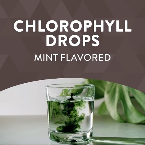 Nature's Way Chlorofresh® Mint 40X Liquid Капли с хлорофиллом, со вкусом мяты 59 мл