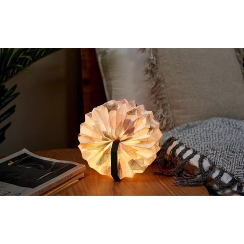 Светильник на аккумуляторе Gingko Velvet Accordion Gucci зеленый (G006GK): Тип питания От USB, Аккумулятор