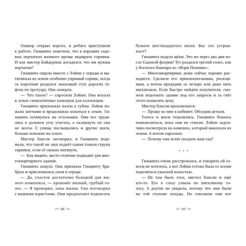Карина Ян Глейзер: Вандербикеры и таинственный сад: Обложка Мягкая