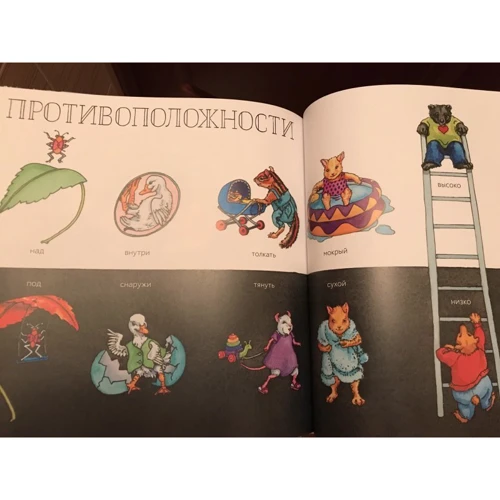 Сильвия Лонг: Давай почитаем. Сказки, стихи, картинки для самых маленьких: Количество страниц 96
