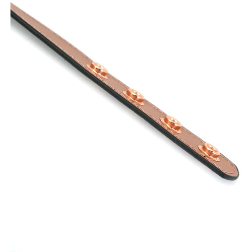 Ошейник с зажимами для сосков Liebe Seele Rose Gold Memory Collar with Nipple Clamps