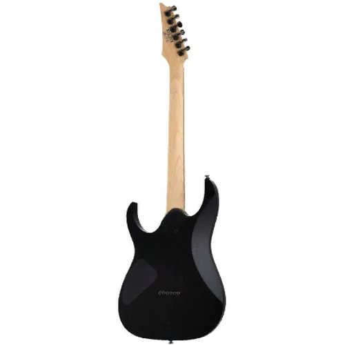 Электрогитара Ibanez RG421EX BKF: Тип Электрогитара