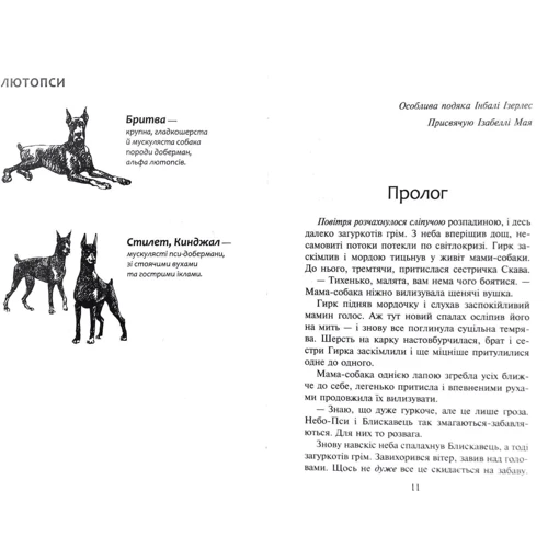 Ерін Гантер: Зграя. Книга 3. Пітьма насуває: Количество страниц 272