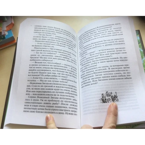 Эрин Хантер: Коты-воители. Нерассказанные истории. История Остролистой: ISBN 978-5-00111-018-7