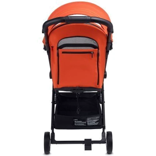 Прогулочная коляска ANEX Air-X (Ax-02/L Black): Пол ребенка Унисекс