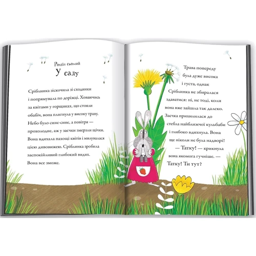 Гейлі Скотт: зайці-Стрибунці: Обкладинка Тверда