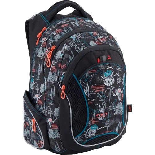 Рюкзак Kite Take'n'Go K18-805L: Возрастная группа от 7 до 14 лет