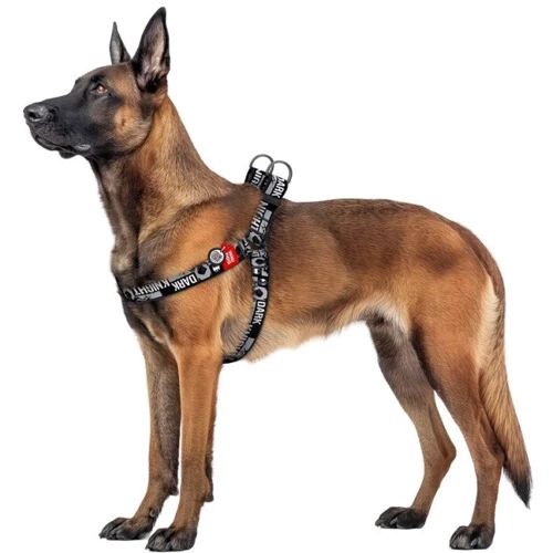 Шлей для собак WAUDOG Nylon c QR паспортом, малюнок "Темний лицар" XL, Ш 35 мм, А=В 70-100 см (324-2011) фото 2