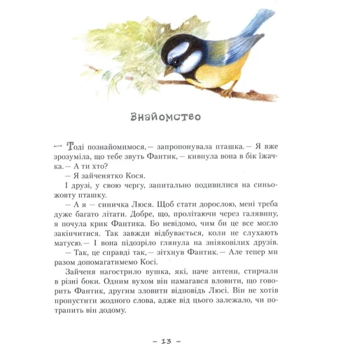Людмила Кравченко. Кося. Таємниця справжньої дружби: Кількість сторінок 64