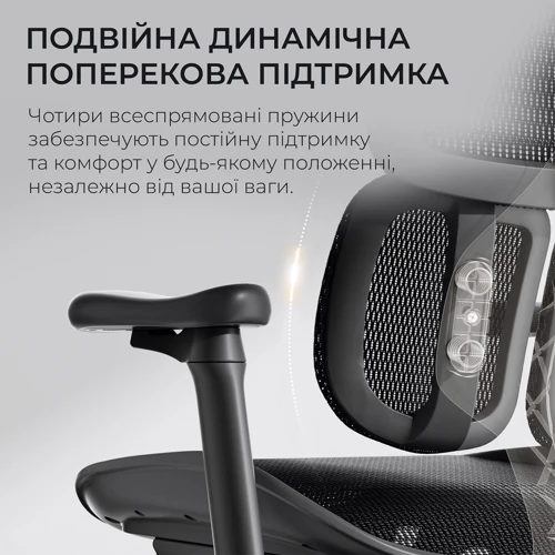 Офисное кресло Sihoo DORO S100 Mesh Black (S100-M301)