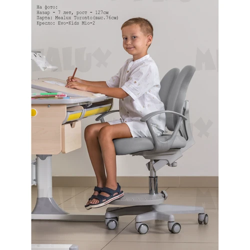 Детское кресло Evo-kids Mio-2 G (Y-408 G): Max высота сиденья, см 58