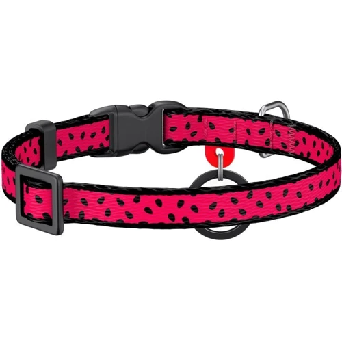 Нашийник для котів WAUDOG Nylon c QR паспортом Кавун пластиковий фастекс 10 ммx20-30 см (5269) фото 1