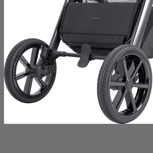 Коляска универсальная 2в1 Carrello Omega CRL-6530/1 Absolute Black: Пол ребенка Унисекс, Для мальчиков, Для девочек
