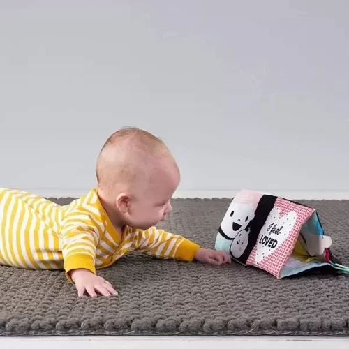 Развивающая книжка-раскладушка Taf Toys Мои эмоции (12545)
