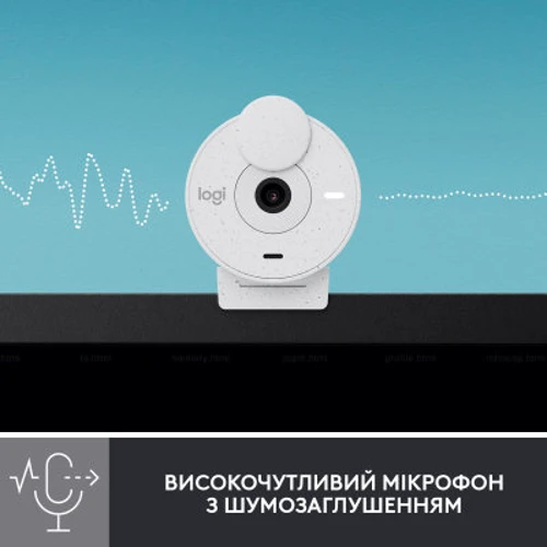 Logitech Brio 300 FHD White (960-001442): Интерфейс подключения USB Type-C