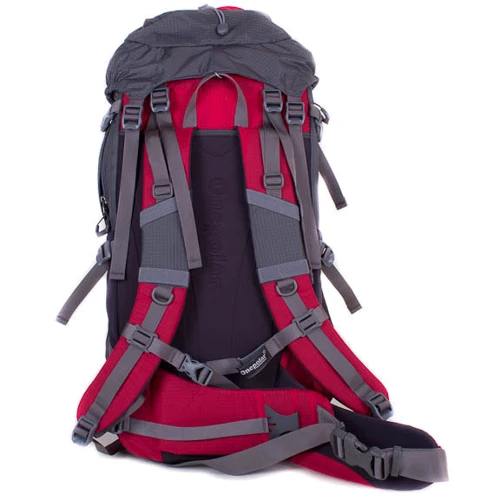 Рюкзак Onepolar красный (W1702-red): Пол Унисекс