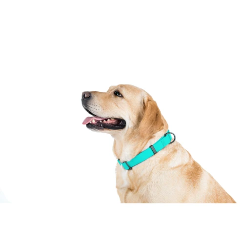 Ошейник WAUDOG Waterproof светящийся, пряжка крючок 25 мм 35-70 см ментоловый (2718): Назначение Для всех пород