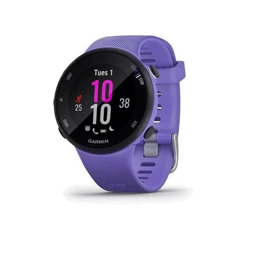 Смарт-годинник Garmin Forerunner 45s Iris (010-02156-11)