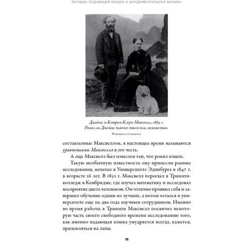 Грегори Гбур: Загадка падающей кошки и фундаментальная физика: Производитель Альпина нон-фикшн
