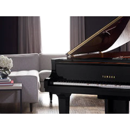 Дисклавир YAMAHA DGB1K ENST Disklavier Enspire ST (PE): Производитель Yamaha