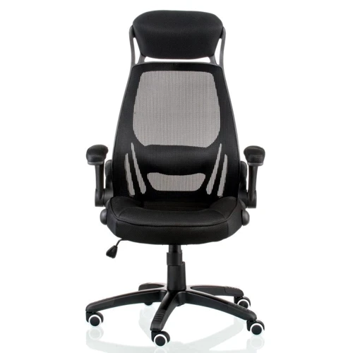 Special4You Briz 2 black (E4961): Тип для руководителей