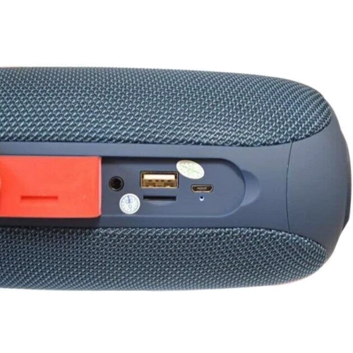 Акустика Hopestar P20 Blue: Тип портативна