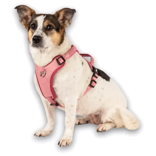 Шлея Max & Molly Smart ID Sport Harness Matrix 2.0 Rose/M 48-65 см розовая (4255636810264) фото 5